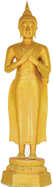 Buddha Reflecting
